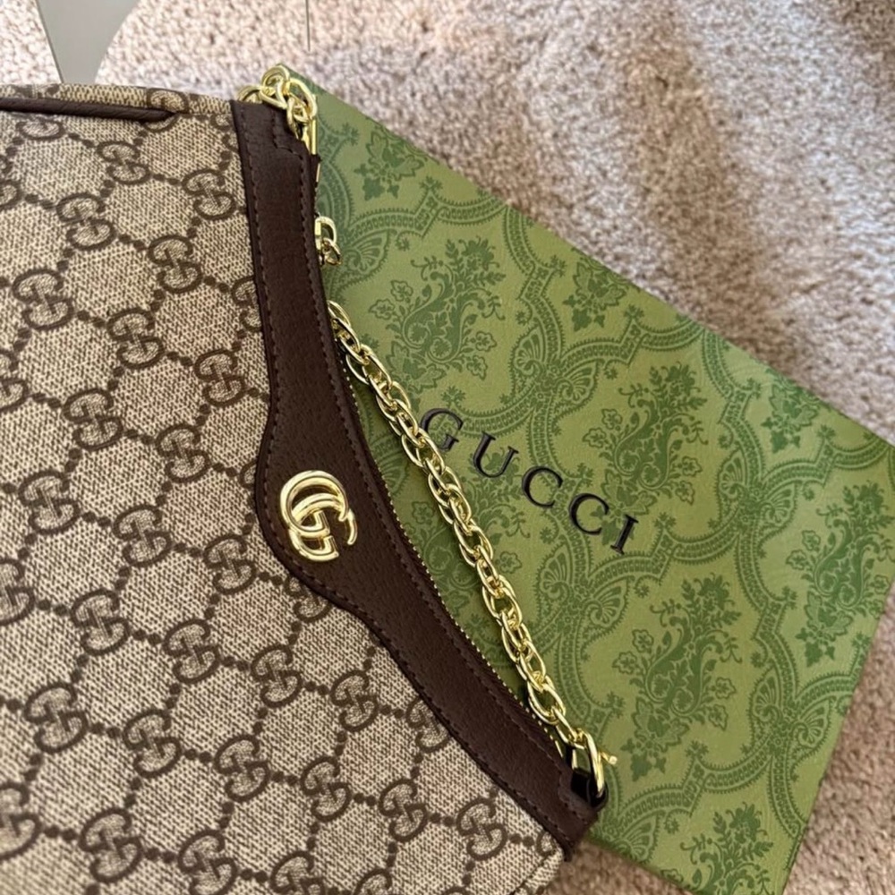 Brown and Gold Women's Bag